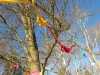 15_1698_Hope-Tree_2014
