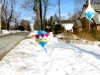 09B_Balls_Hope_Tree_2014