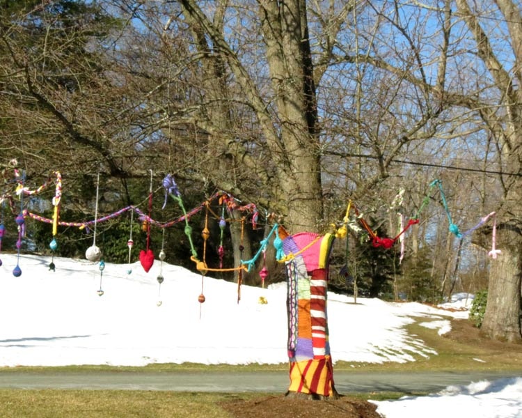 Hope Tree 2014 photo 2