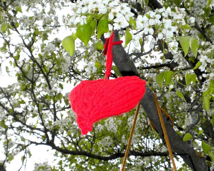 A red knitted heart hanging among white spring blossoms