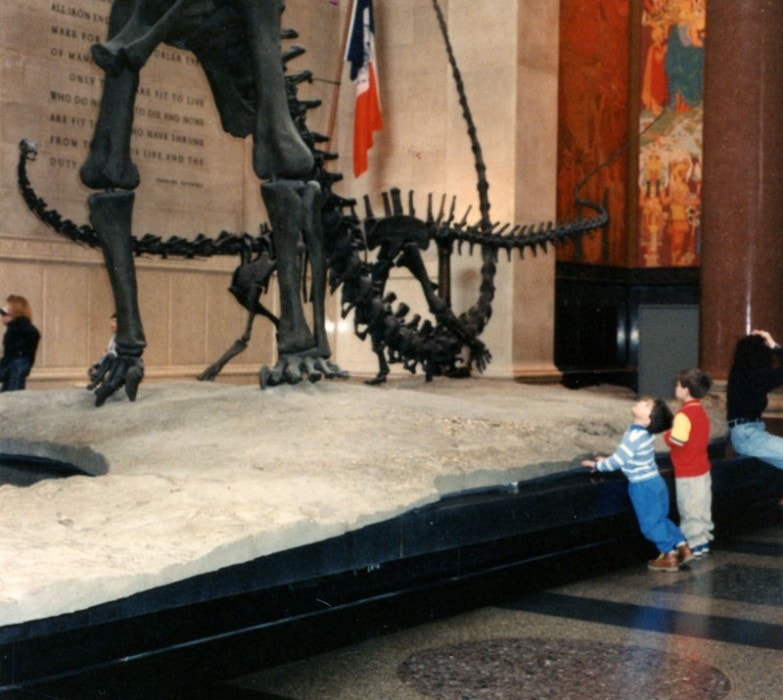 Tommy and Dan looking up at a dinosaur skeleton at the Natural History Museum